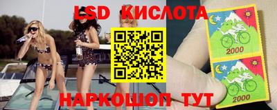 mdma Камышлов