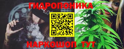 ALPHA PVP Кандалакша