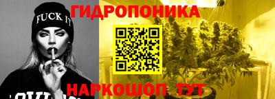 ALPHA PVP Кандалакша