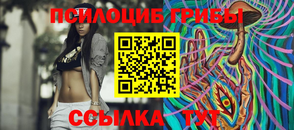Людиново  Псилоцибиновые грибы Psilocybine cubensis  Псилоцибиновые грибы мухоморы  Вход с VPN 
